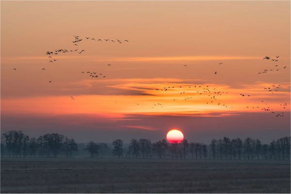 Sonnenaufgang am Galenbecker See