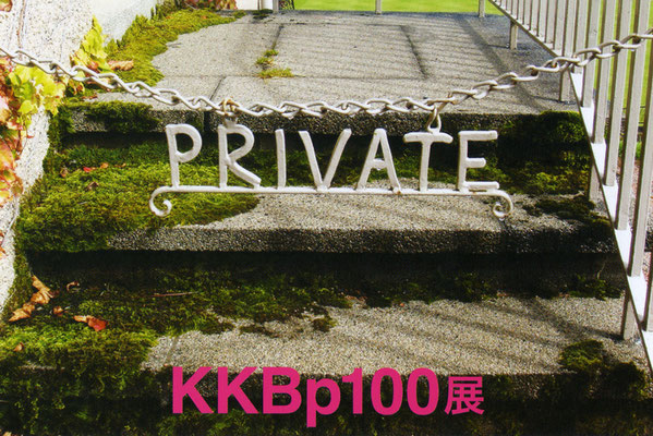  KKBp100展