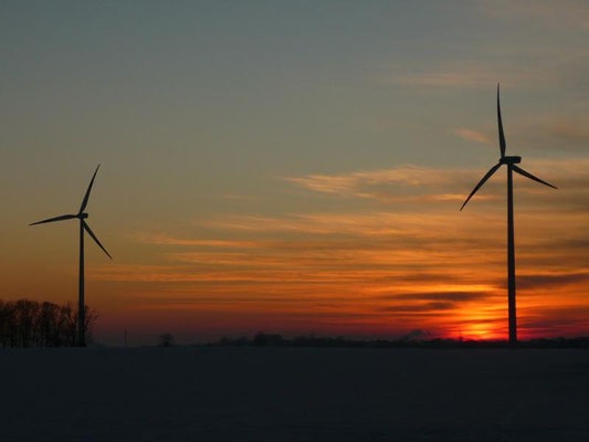 Schwicheldt - 2009