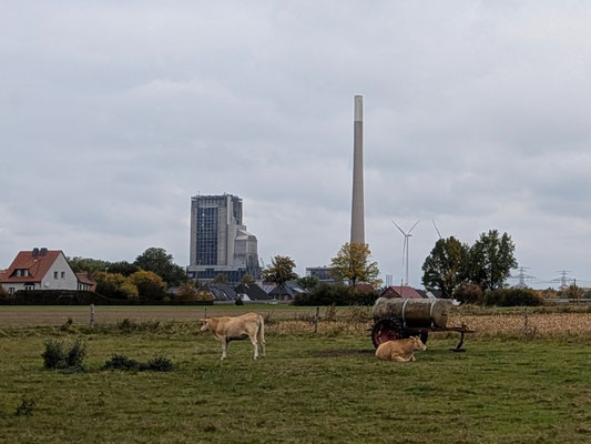 11. Oktober 2025