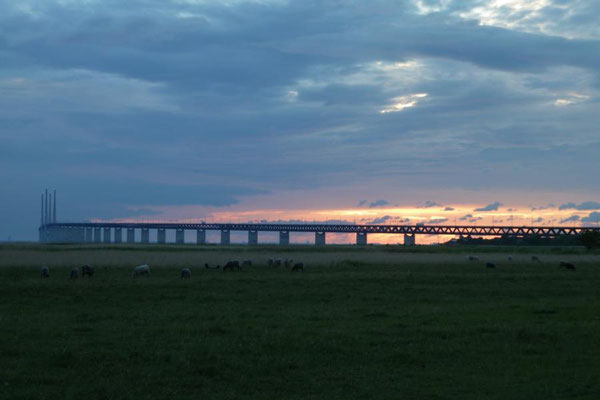 Bunkflostrand - 2013