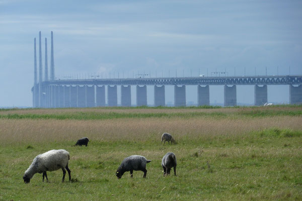 Bunkflostrand - 2013