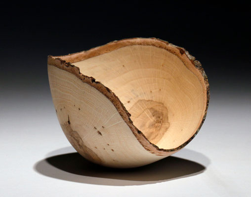 Bol en /écorce de bois