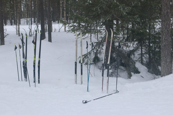 Ideale Bedingungen in Impiö