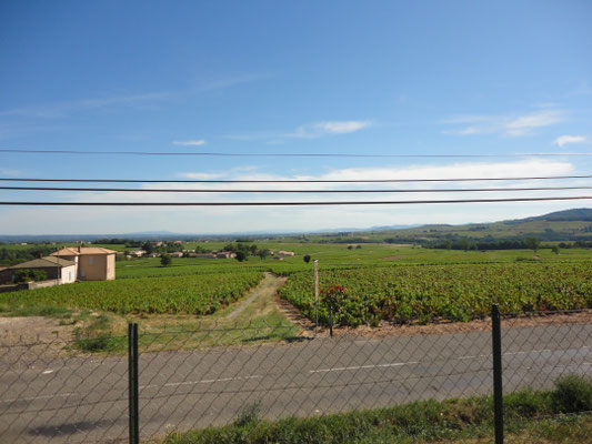 Voici une aire de stationnement pour votre camping-car et passer une bonne nuit à saint amour dans la cour de notre exploitation.                                  Ne pas oublier que nous sommes à la campagne, nous possédons des poules, coq, chiens.       