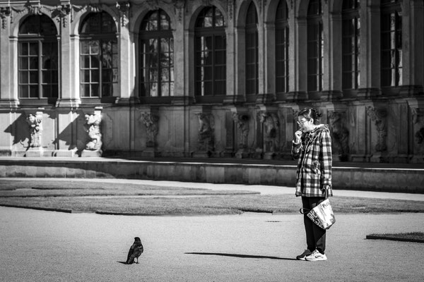 Dresdner Zwinger