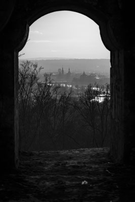 Blick vom ehemaligen Wolfshügelturm in der Dresdner Heide