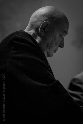 Hans-Martin Stier, Schauspieler