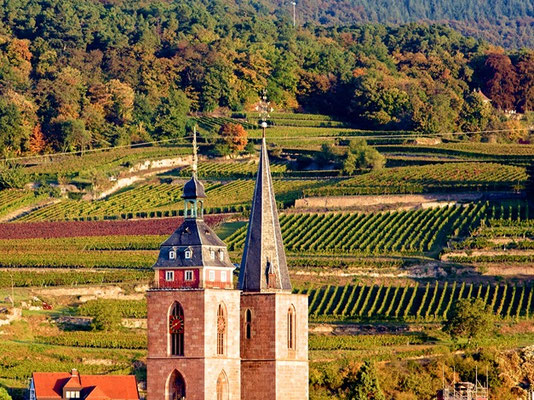Neustadt an der Weinstraße, Panorama