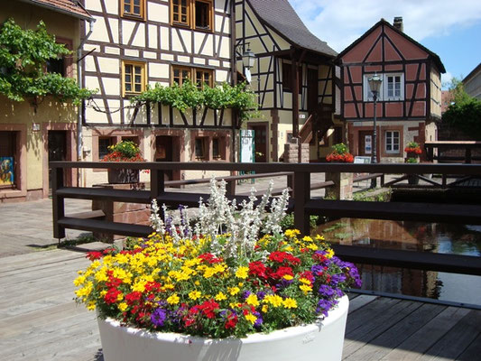 Annweiler, Museum unterm Trifels 