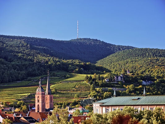 Neustadt an der Weinstraße, Panorama