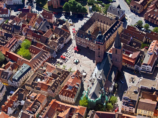 Blick auf Neustadt an der Weinstraße