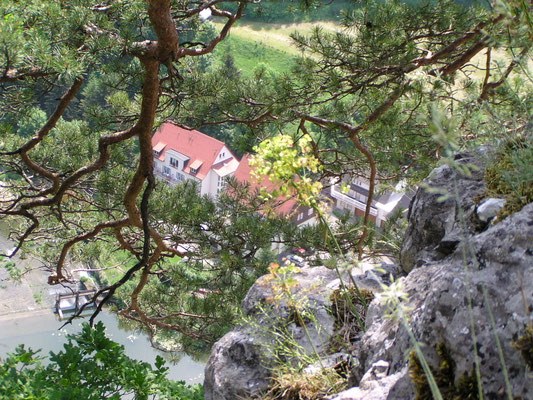 Blick auf Gasthof Neumühle von Unterfalkenstein
