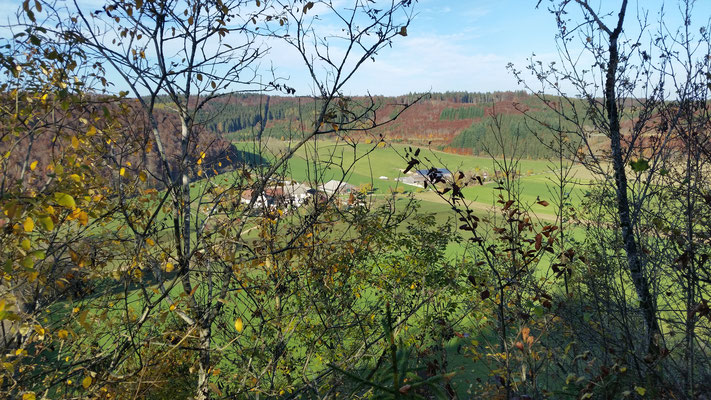 Blick von der Pfannenstiel auf den Reinfelderhof