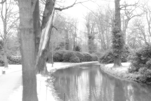Dezember 2017