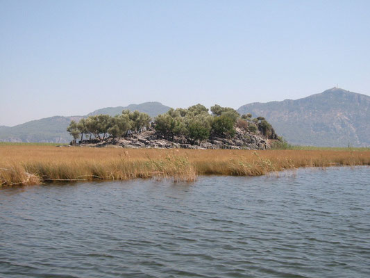 Kaunus-Dalyan Tour