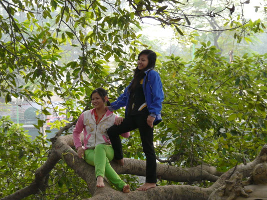 Vietnam - Hanoi, 2011 - Literaturtempel 