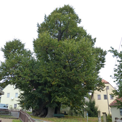 September 2015
