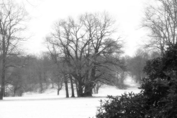 Dezember 2017