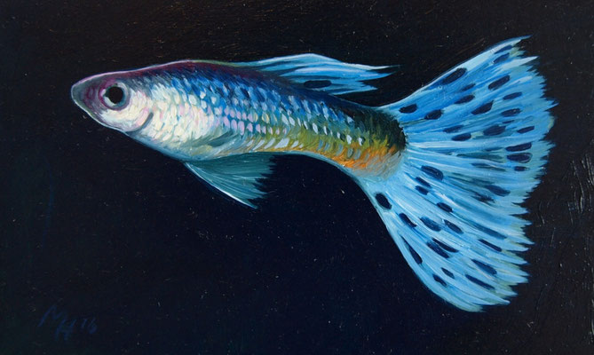 Guppy II, 5x10cm, olieverf op paneel 
