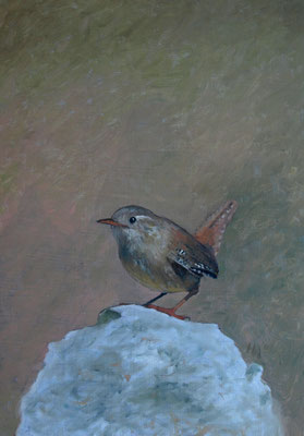 Winterkoninkje 24x18cm, olieverf op paneel (particuliere collectie)