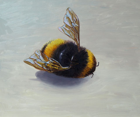 Bijensterfte 15x20cm, olieverf op paneel (collectie Artos)