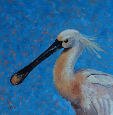 Lepelaar 20x20cm, olieverf op paneel (particuliere collectie)
