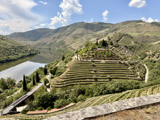 Zicht vanuit Quinta dos Malvedos