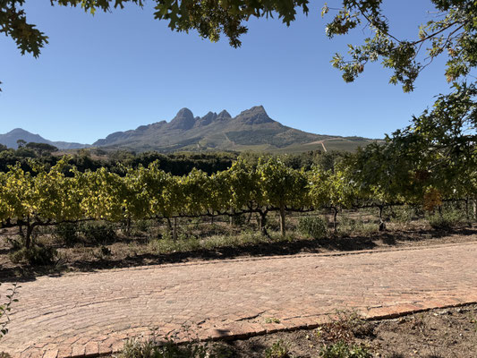 De Helderberg.