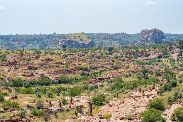 Petrified termite mound pillars