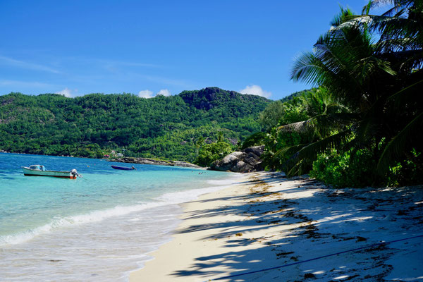 Anse Forbans, Mahé