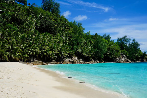 Anse Intendance, Mahé