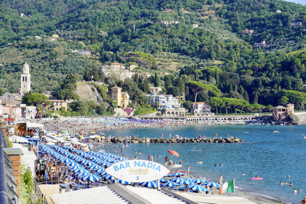 Levanto