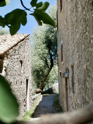 Campo di Brenzone, Gardasee