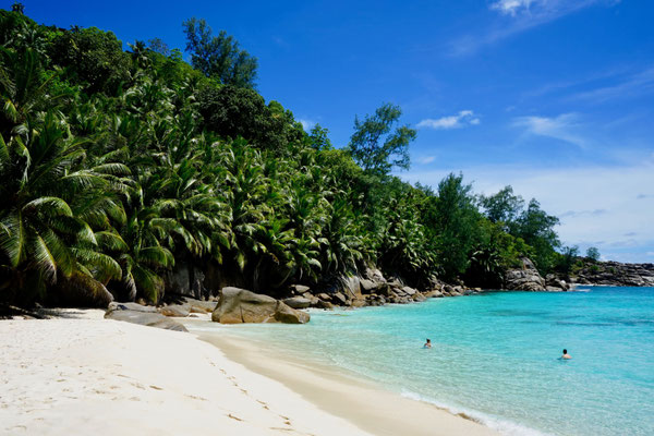 Anse Intendance, Mahé