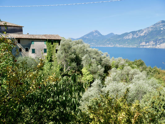 Campo di Brenzone, Gardasee