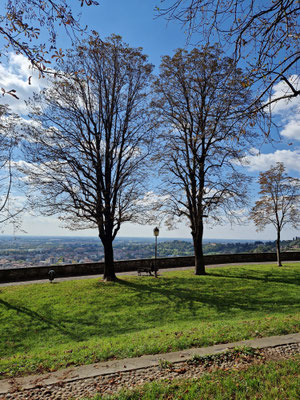 Stadtmauer