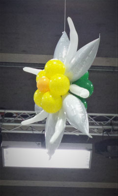 E49 - Edelweiss - Special Olympics Schladming