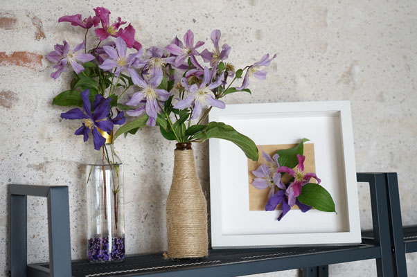 ©Javoy Plantes, clématites en vase, décoration 