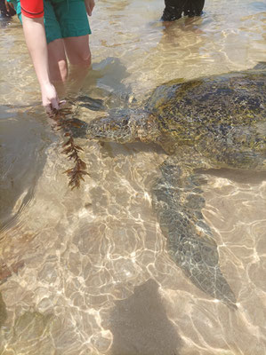 Hikkaduwa Strand