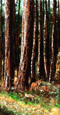 Der Fuchs im Wald, Digiart