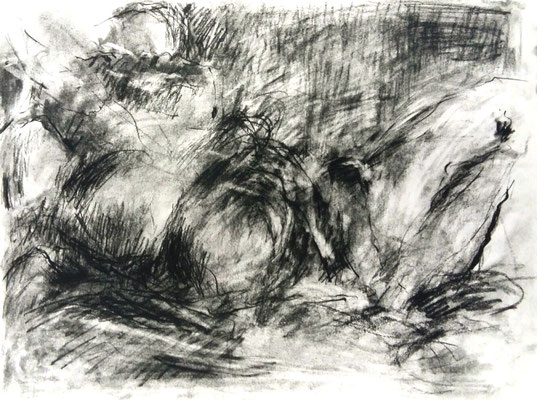 Disegni Maria Angela Tiozzi Artista