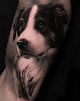 Tattoo Vorlagen Tiere