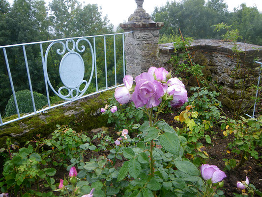 Les jardins Le Sidaner