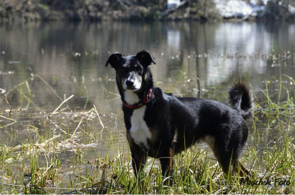 Tiere_2019/1