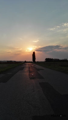 Burgenland Sonnenuntergang