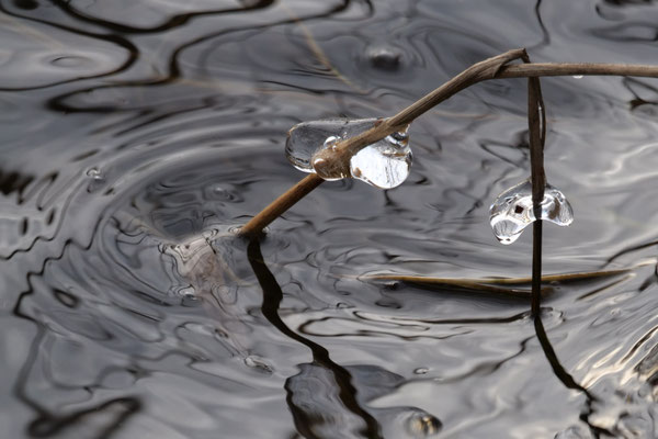 Wasserspiel - Wilfried Vogelpohl