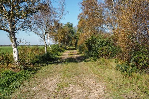 Herbst im Ipweger Moor, Klaus-Dieter Haak
