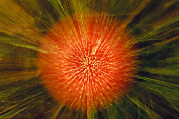 Explosion - Elke Riesmeier
