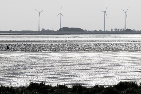 Wattenmeer. Theo Stenert